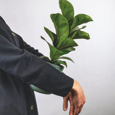 Plants Store Gallery Img 6