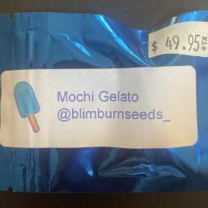 Mochi Gelato Fems (Blimburn)