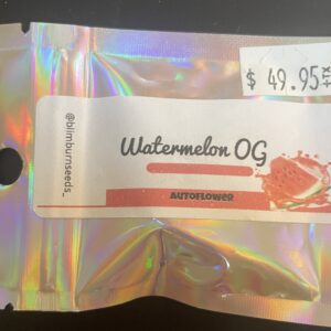 Watermelon OG Auto Fems (Blimburn)