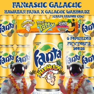 fantastic galactic